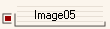 Image05