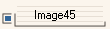 Image45