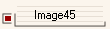 Image45