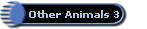 Other Animals 3
